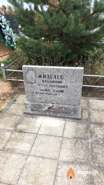 Жиделев Владимир Александрович