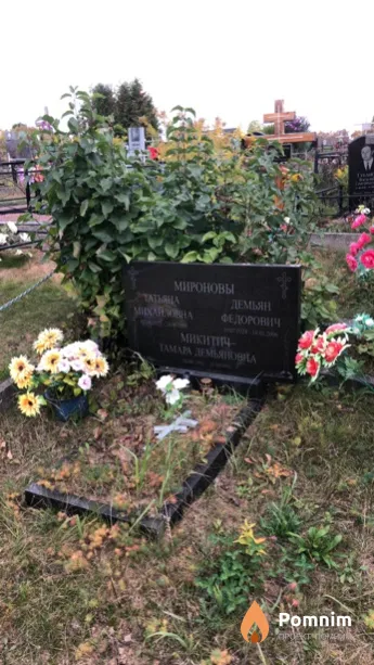Миронов Демьян Федорович