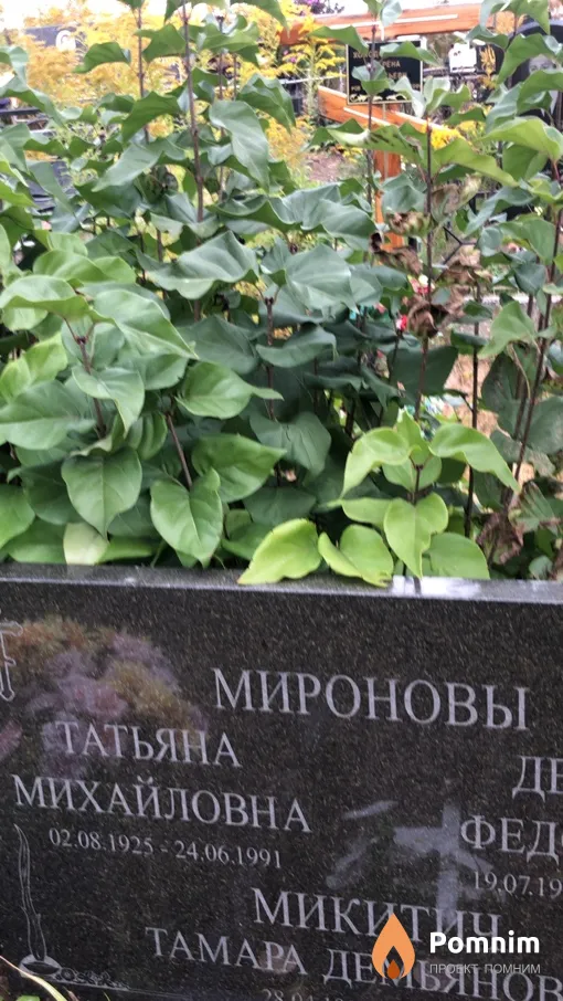Микитич Татьяна Михайловна