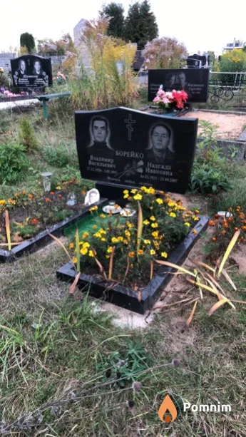 Борейко Надежда Ивановна