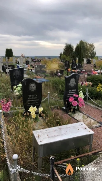 Бажко Николай Николаевич