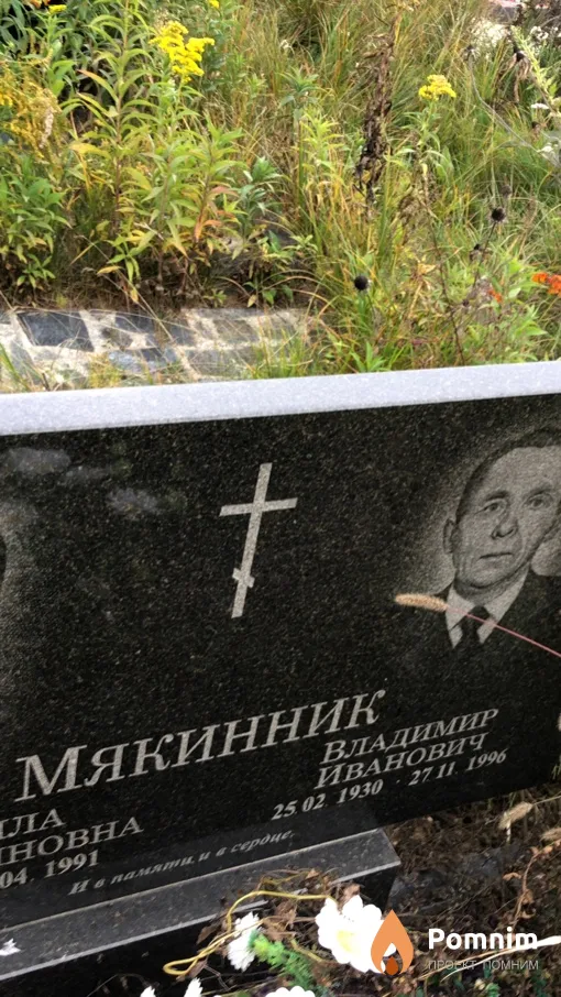 Мякинник Владимир Иванович