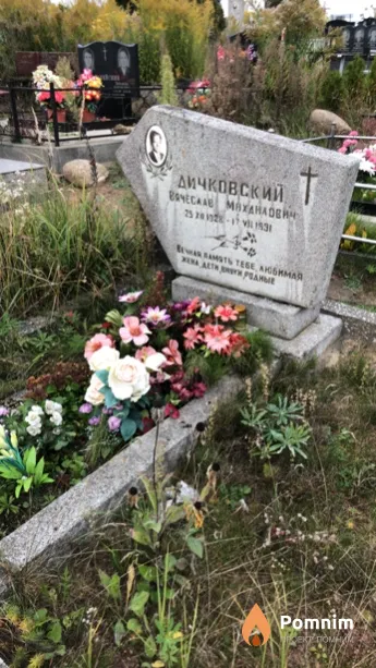 Дичковский Вячеслав Михайлович