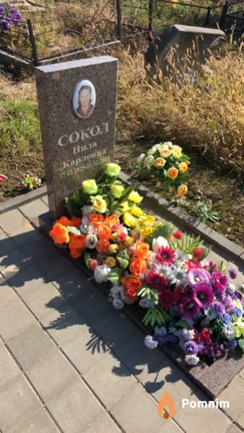 Сокол Нила Карловна