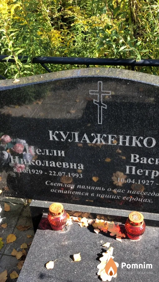 Кулаженко Нелли Николаевна
