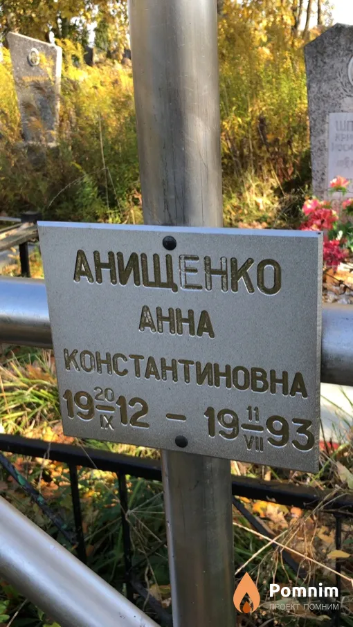 Анищенко Анна Константиновна