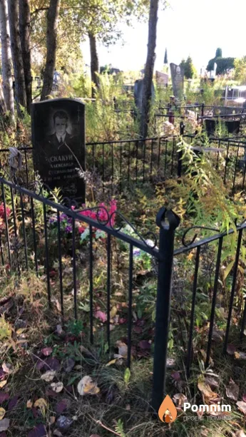 Скакун Александр Степанович