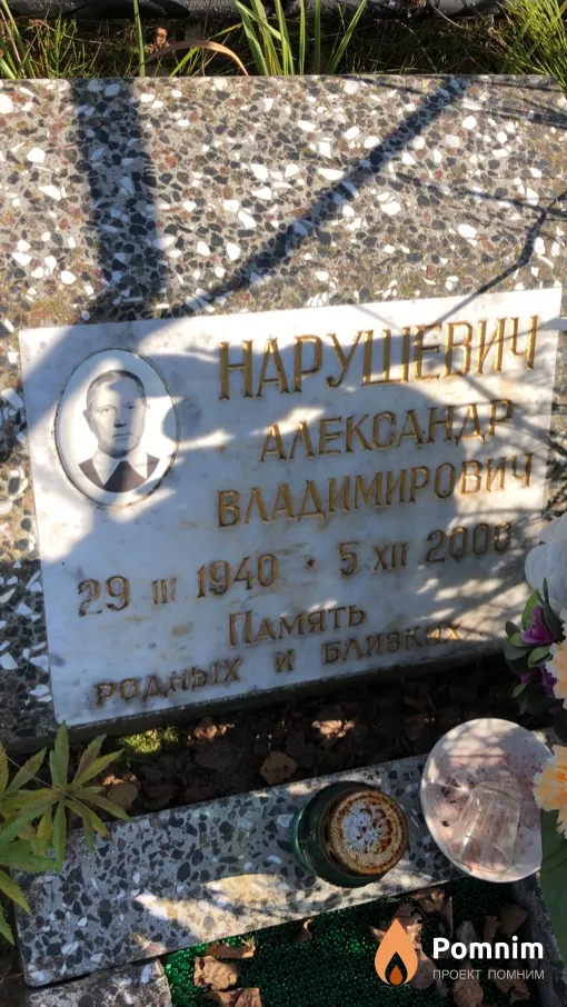 Нарушевич Александр Владимирович