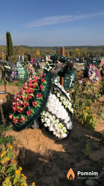 Пахольчик Татьяна Николаевна