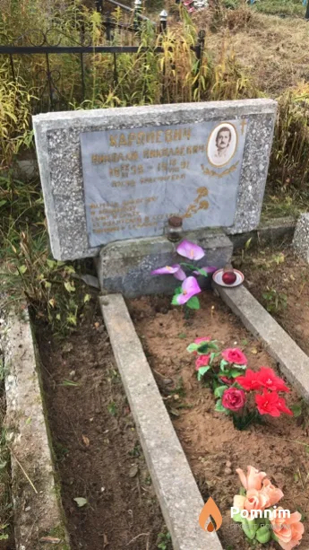 Карпиевич Николай Николаевич