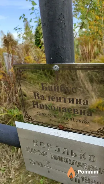 Байбус Валентина Николаевна