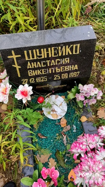 Шунейко Анастасия Викентьевна