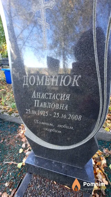 Доменюк Анастасия Павловна