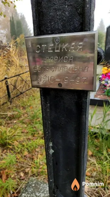 Стецкая Лариса Болеславовна