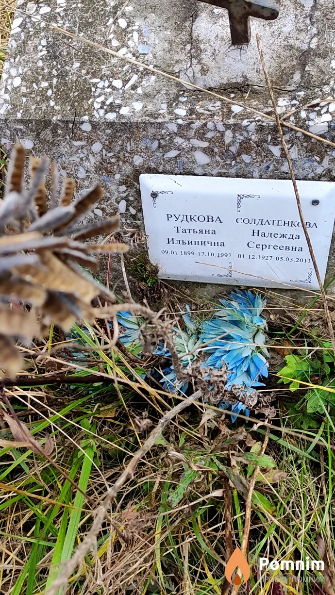 Солдатенкова Надежда Сергеевна