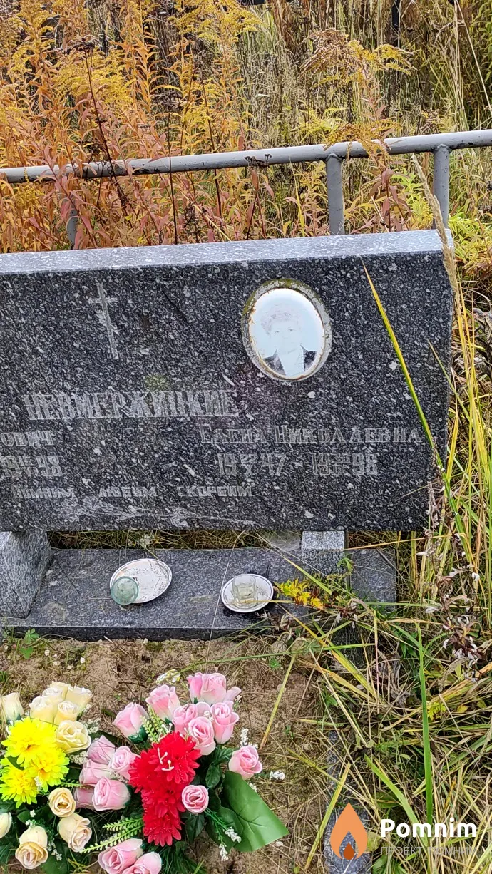Невмержицкая Елена Николаевна