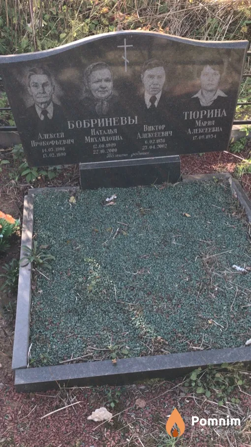 Бобринева Наталья Михайловна