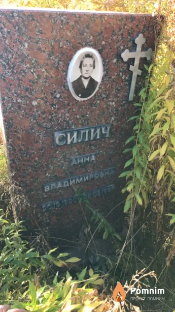 Силич Анна Владимировна