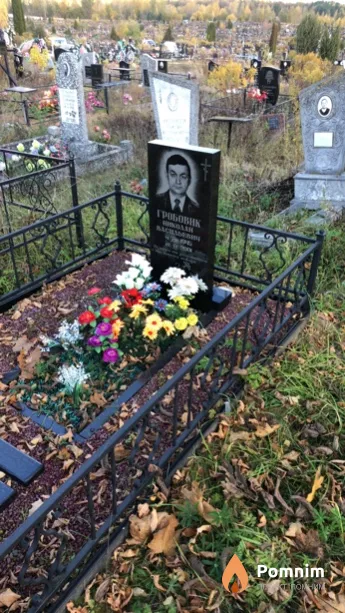 Гробовик Николай Васильевич