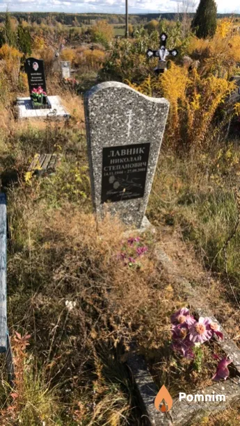 Лавник Николай Степанович