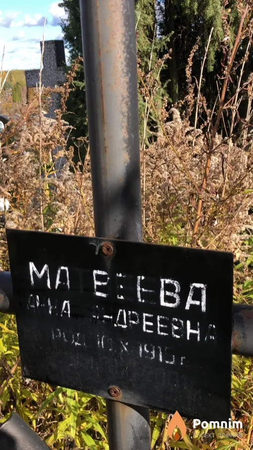 Матвеева Анна Андреевна