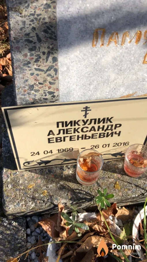Пикулик Александр Евгеньевич