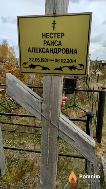 Нестер Раиса Александровна
