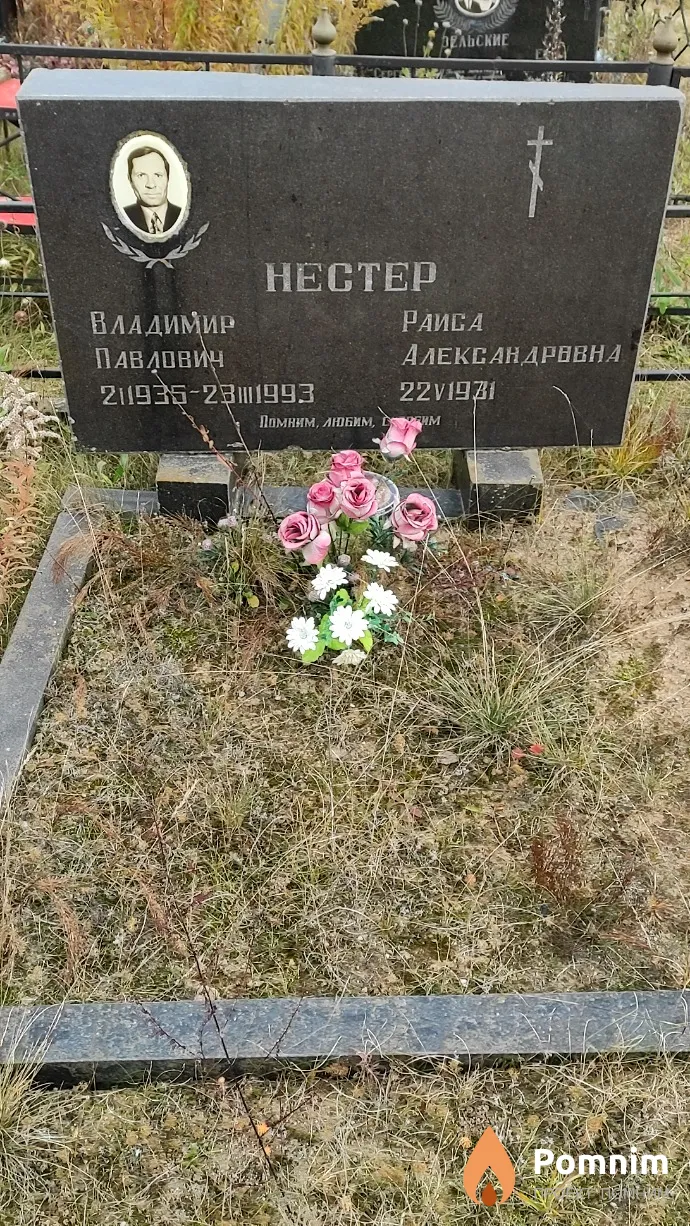 Нестер Владимир Павлович