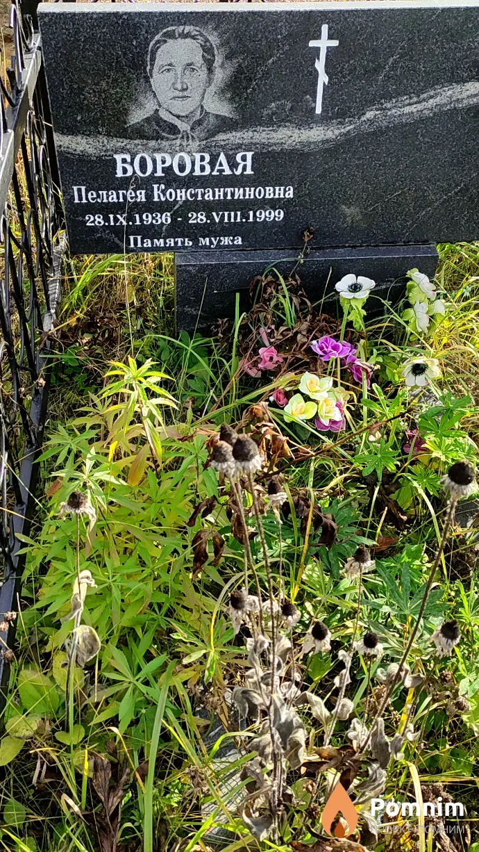 Боровая Пелагея Константиновна