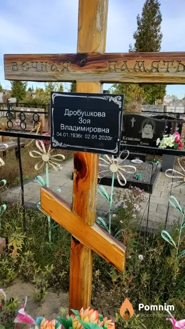 Дробушкова Зоя Владимировна