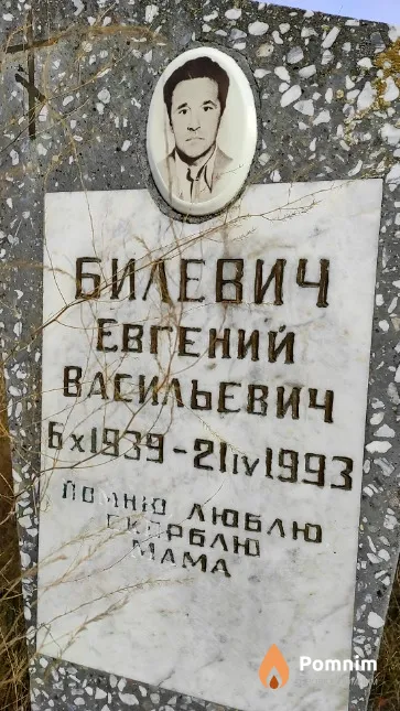 Билевич Евгений Васильевич