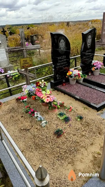 Лосева Галина Тимофеевна