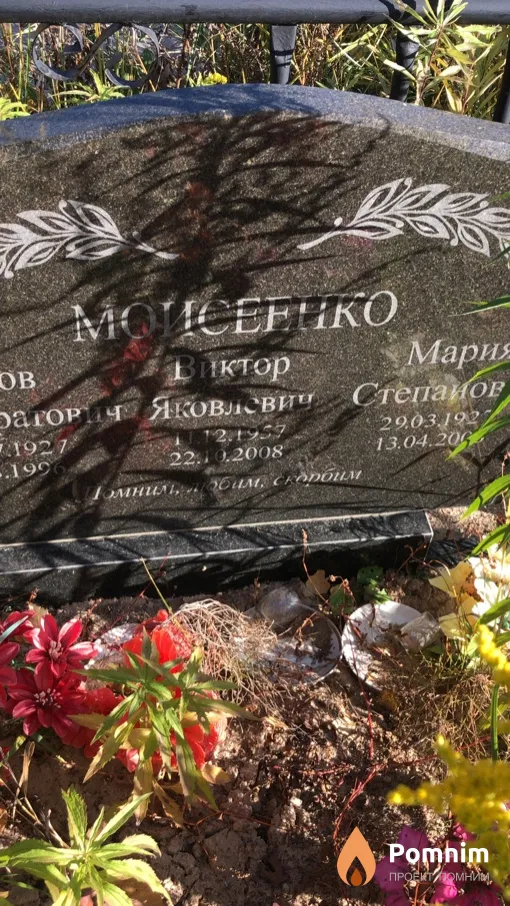 Моисеенко Виктор Яковлевич