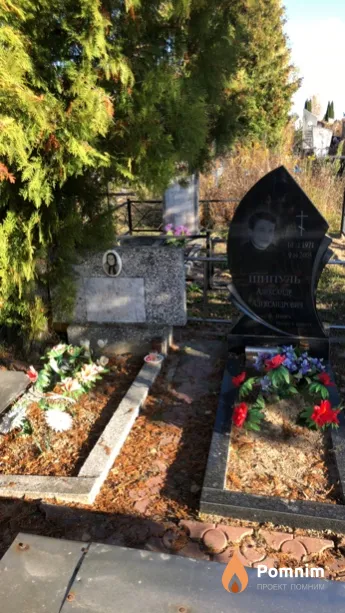 Шипуль Анастасия Дмитриевна