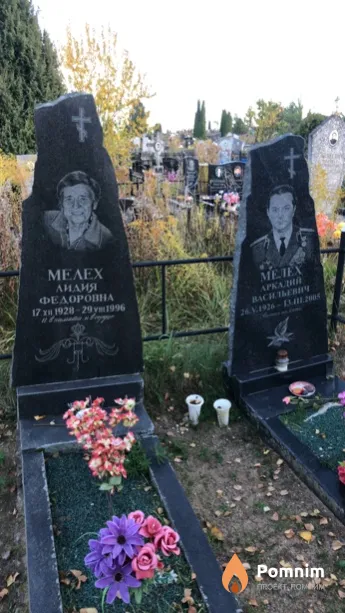 Мелех Аркадий Васильевич