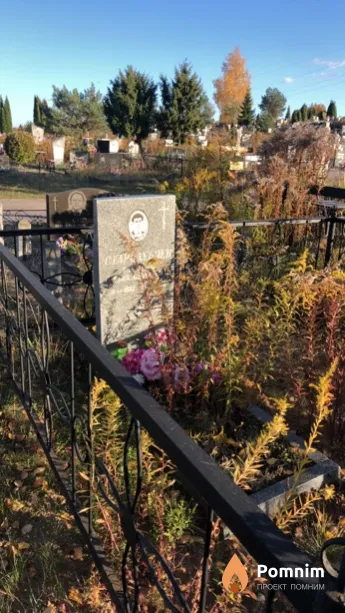 Стародубцев Алексей