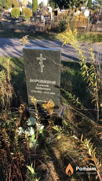 Боровиков Алексей Андреевич