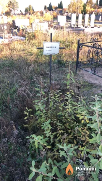 Руделев В Ф
