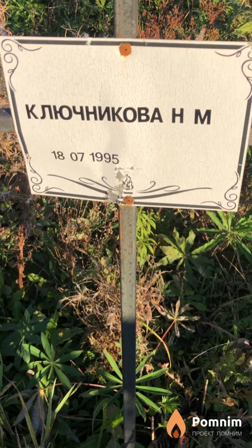 Ключникова Н М