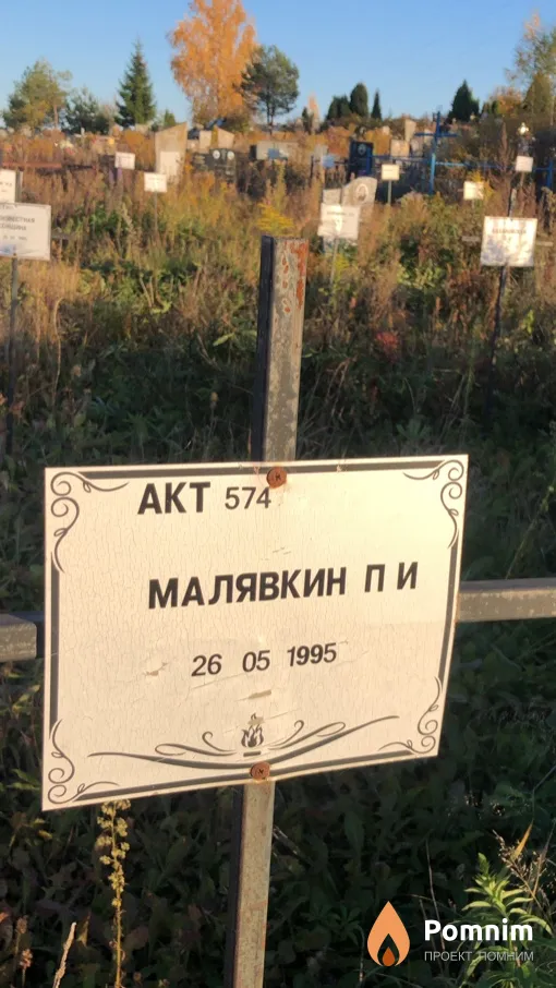 Малявкин П И