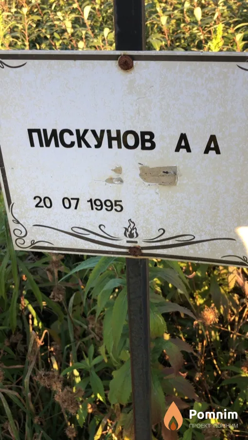 Пискунов А А