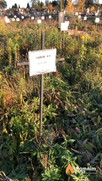 Гайков И П