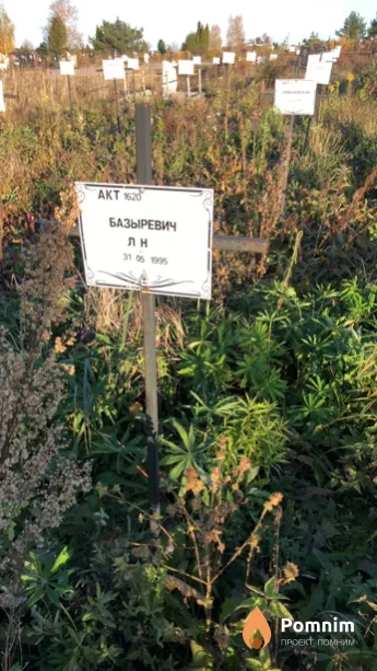 Базыревич Л Н