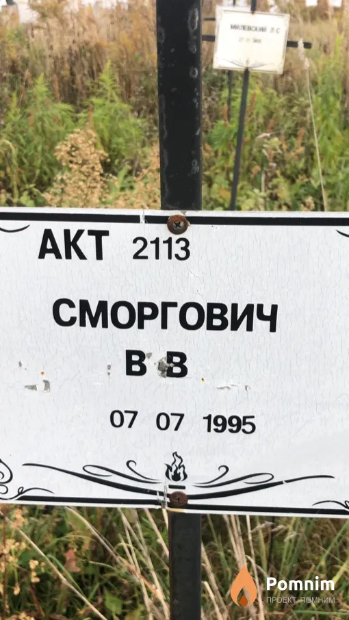 Сморгович В В