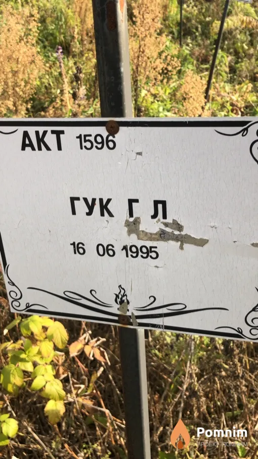 Гук Г Л