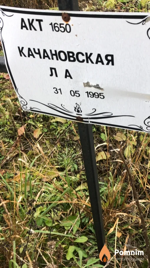 Качановская Л А