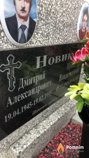 Новик Дмитрий Александрович
