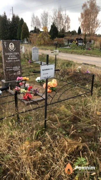 Пылайкина Н В