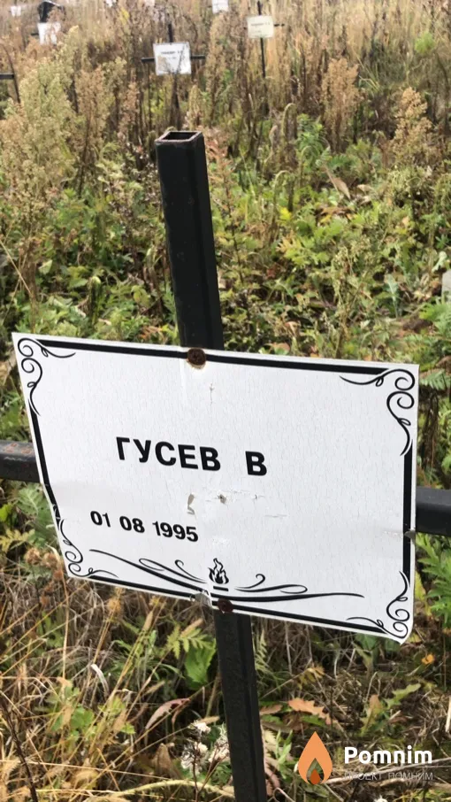 Гусев В
