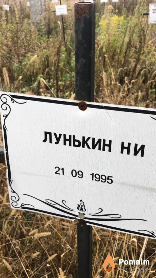 Лунькин Н И